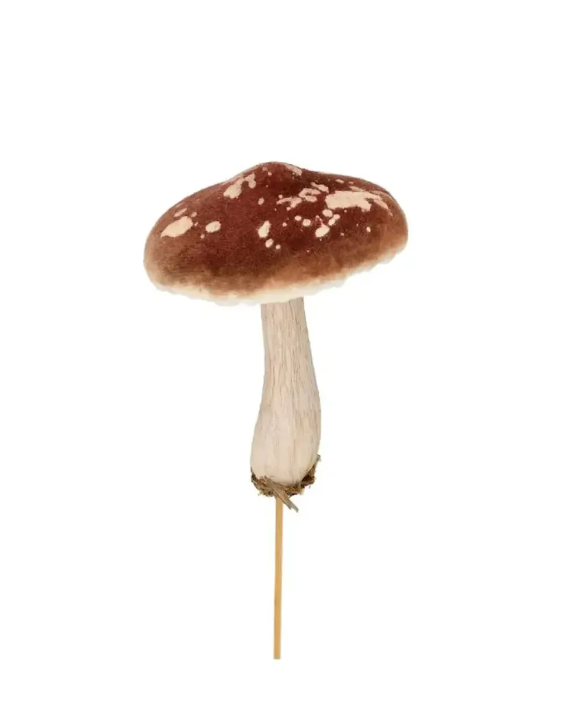 Seta pinchar marrón
