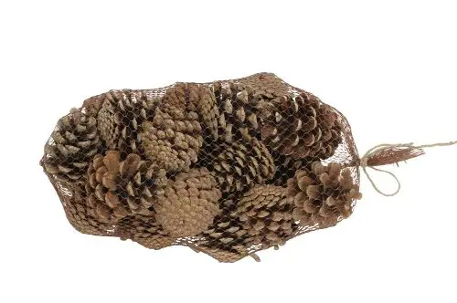 [3409] BOLSA PIÑAS MEDIA