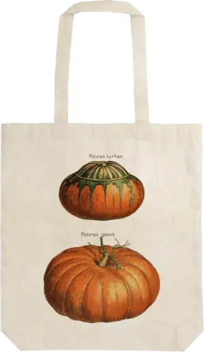 [stbag81] Tote bag algodón eco Calabaza