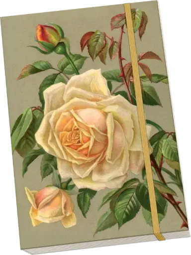 [stnote142] Libreta A5 Rosa