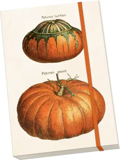 [stnote143] Libreta A5 Calabaza