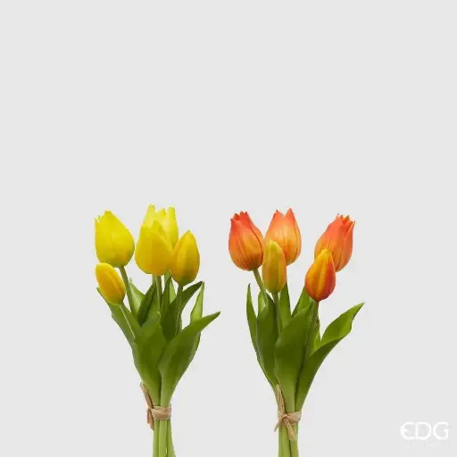 [216001,260] Tulipan 2 Colores