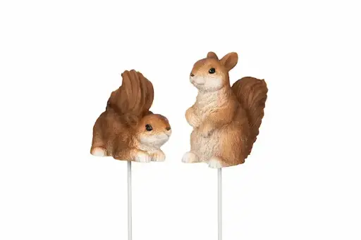 [1003866] Ardilla con pincho