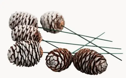 [1004488] Piña con alambre 