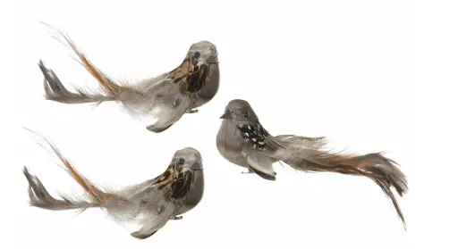 [1001273] Pájaro Clip Plumas Mix