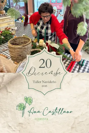 Taller Centros 20 Diciembre 